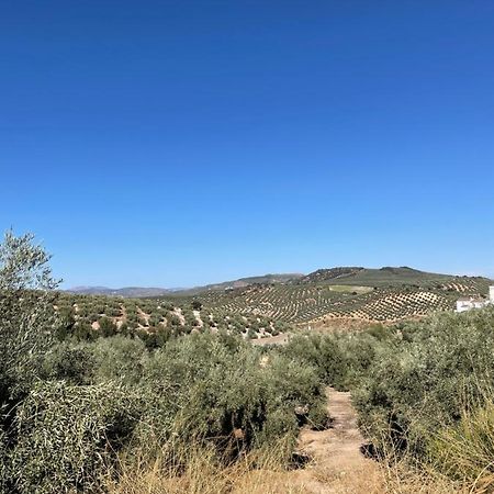 Lafrenchtouch - Escapada Rural En Una Coqueta Casa Villanueva de Tapia Kültér fotó