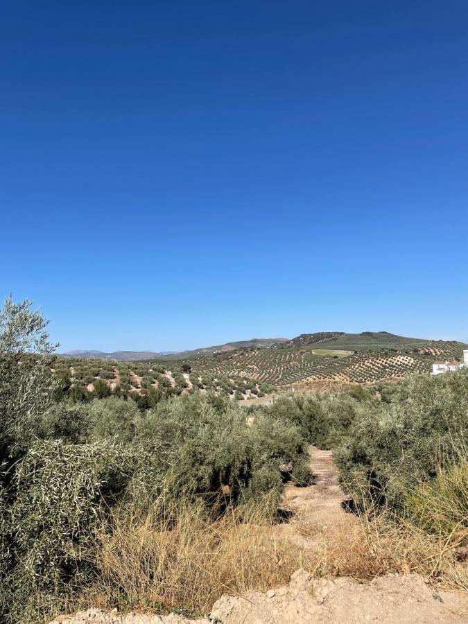 Lafrenchtouch - Escapada Rural En Una Coqueta Casa Villanueva de Tapia Kültér fotó